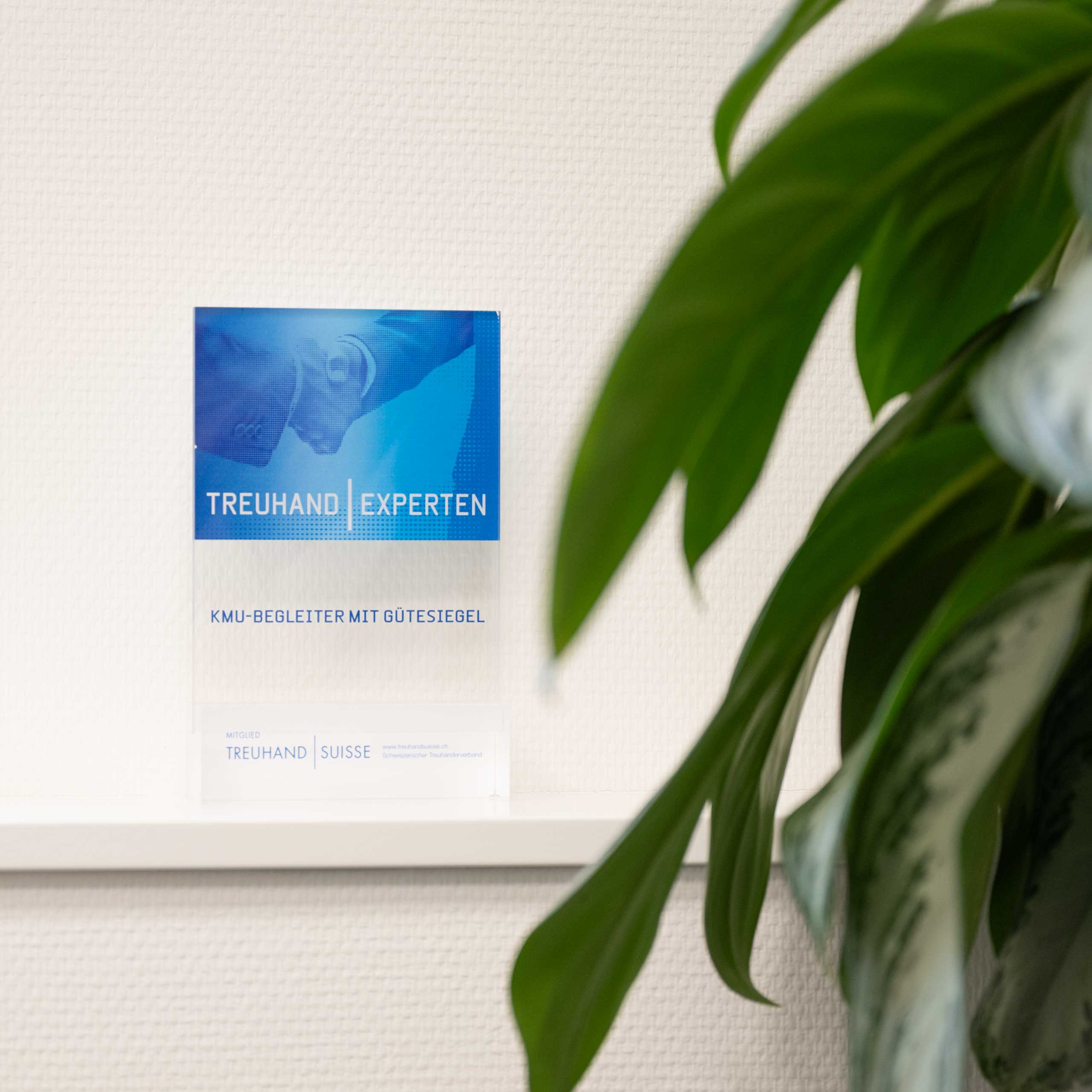 dienstleistungen_treuhand